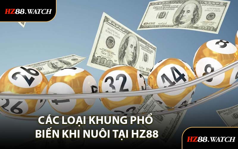 Các Loại Khung Phổ Biến Khi Nuôi Tại HZ88