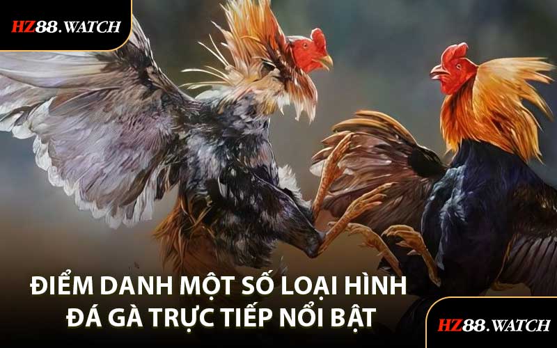 Điểm Danh Một Số Loại Hình Đá Gà Trực Tiếp Nổi Bật