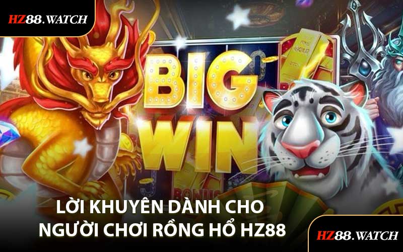 Lời Khuyên Dành Cho Người Chơi Rồng Hổ HZ88