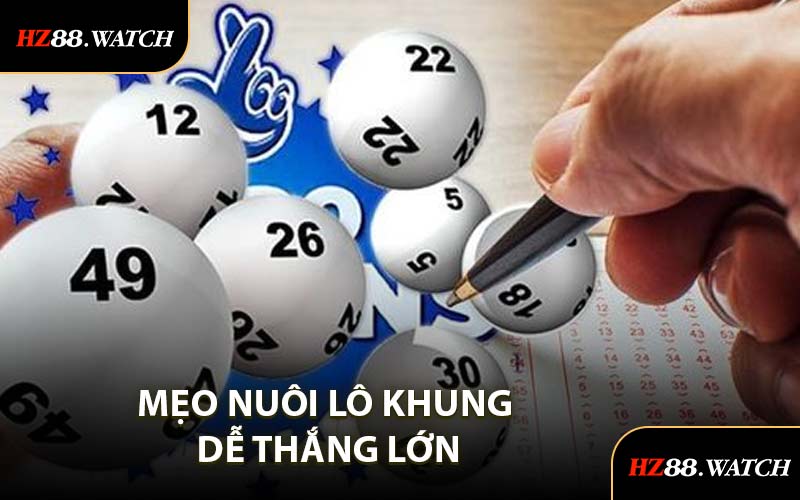 Mẹo Nuôi Lô Khung Dễ Thắng Lớn