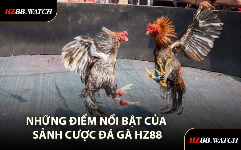 Những Điểm Nổi Bật Của Sảnh Cược Đá Gà HZ88