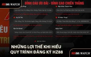 Những Lợi Thế Khi Hiểu Quy Trình Đăng Ký HZ88