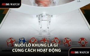 Nuôi Lô Khung Là Gì Cùng Cách Hoạt Động