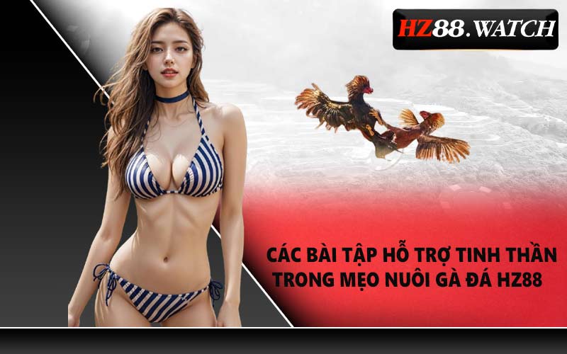 Các Bài Tập Hỗ Trợ Tinh Thần Trong Mẹo Nuôi Gà Đá HZ88