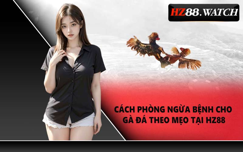 Cách Phòng Ngừa Bệnh Cho Gà Đá Theo Mẹo Tại HZ88