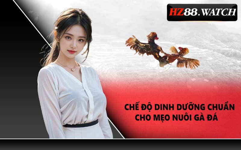 Chế Độ Dinh Dưỡng Chuẩn Cho Mẹo Nuôi Gà Đá 