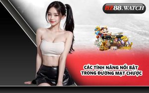 Các tính năng nổi bật trong Đường Mạt Chược